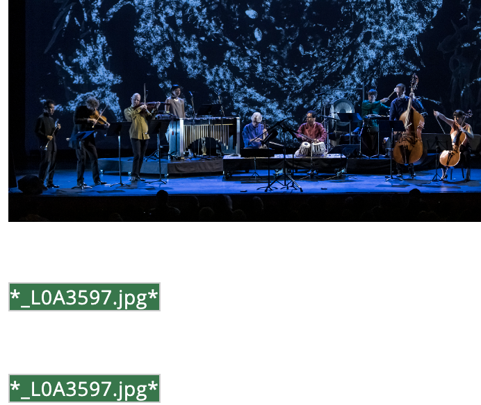 Questionate alt text